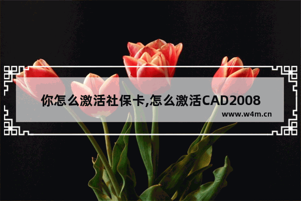 你怎么激活社保卡,怎么激活CAD2008