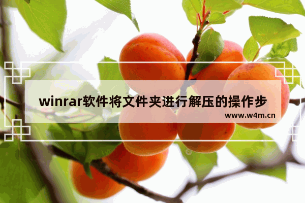 winrar软件将文件夹进行解压的操作步骤,用winrar怎么解压软件