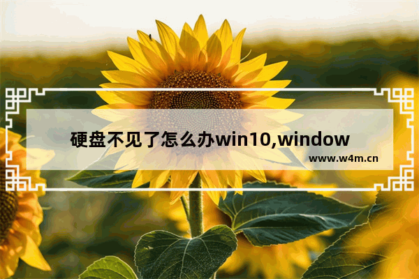 硬盘不见了怎么办win10,windows10无法安装到这个磁盘