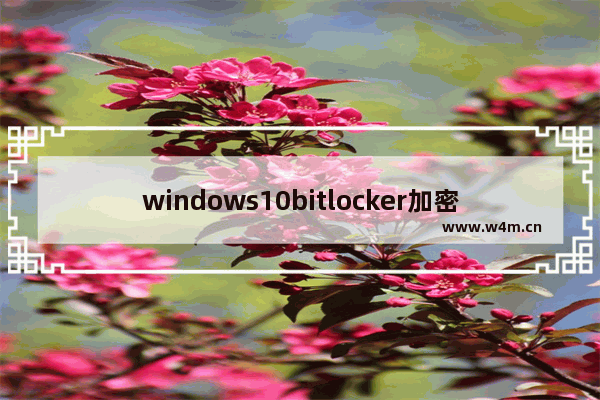 windows10bitlocker加密磁盘,win10硬盘bitlocker加密在哪儿解除