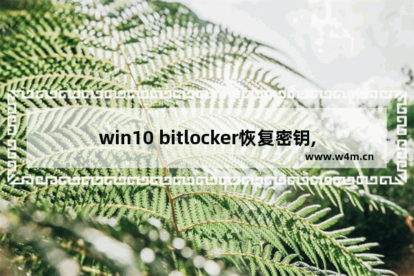 win10 bitlocker恢复密钥,win10bitlocker密钥忘记了