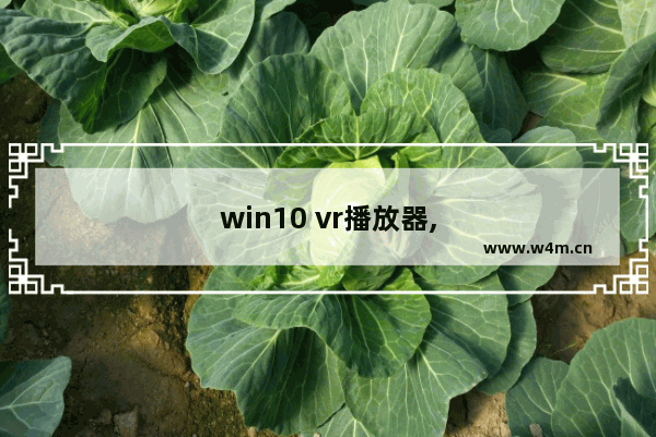 win10 vr播放器,