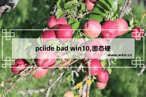 pciide bad win10,固态硬盘pciide bad