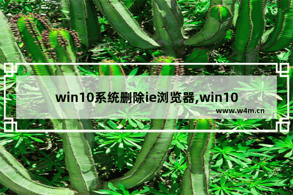 win10系统删除ie浏览器,win10彻底删除ie