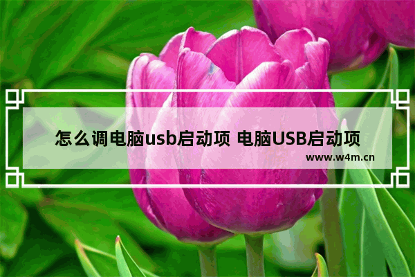 怎么调电脑usb启动项 电脑USB启动项调整方法