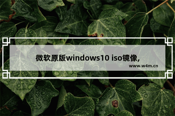 微软原版windows10 iso镜像,微软官网下载windows10(ISO文件)