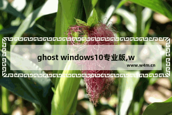 ghost windows10专业版,win10纯净版ghost下载_1