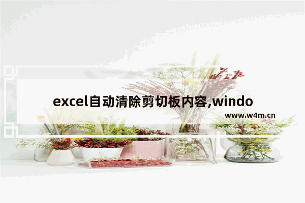 excel自动清除剪切板内容,windows10剪切板怎么使用