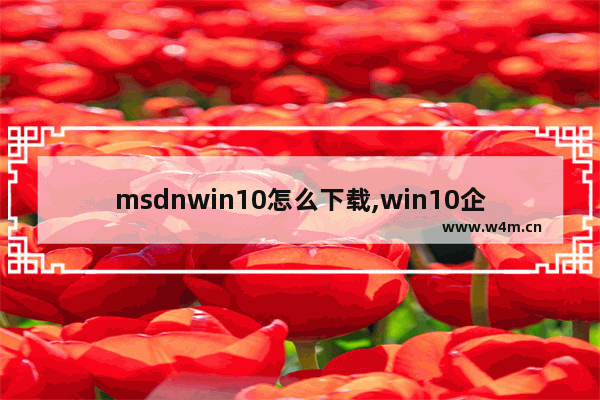 msdnwin10怎么下载,win10企业版怎么下载