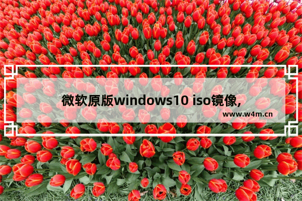 微软原版windows10 iso镜像,微软官网下载windows10(ISO文件)