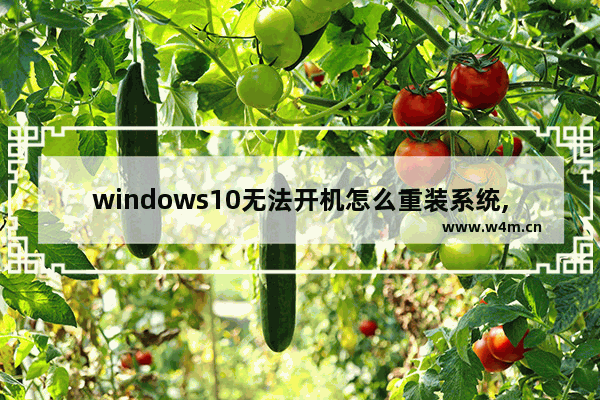 windows10无法开机怎么重装系统,电脑开不了机怎么重装win10系统