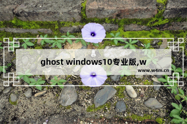 ghost windows10专业版,win10纯净版ghost下载_1