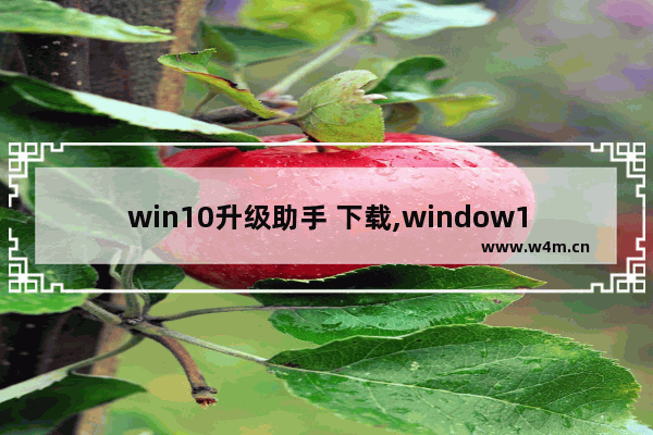 win10升级助手 下载,window10升级助手下载_1