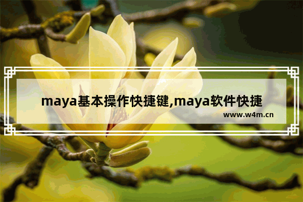 maya基本操作快捷键,maya软件快捷键总结