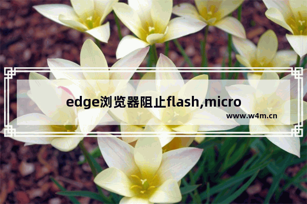 edge浏览器阻止flash,microsoft edge浏览器阻止adobe flash