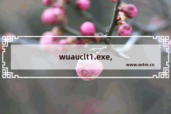 wuauclt1.exe,