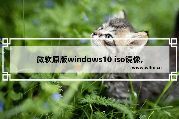 微软原版windows10 iso镜像,微软官网下载windows10(ISO文件)