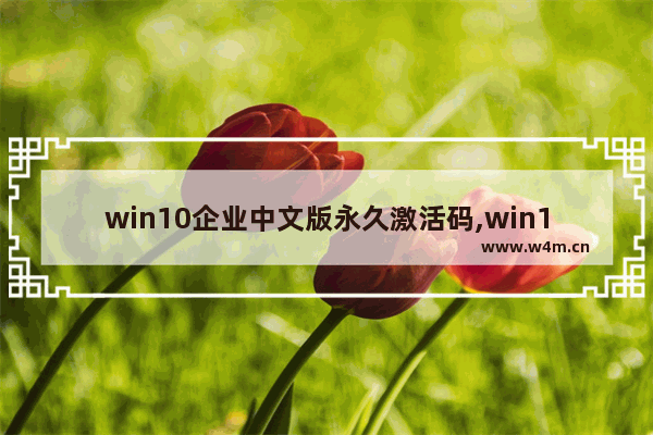 win10企业中文版永久激活码,win10企业版永久激活码大全和激活方法