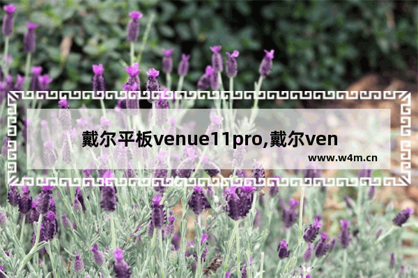 戴尔平板venue11pro,戴尔venue8pro