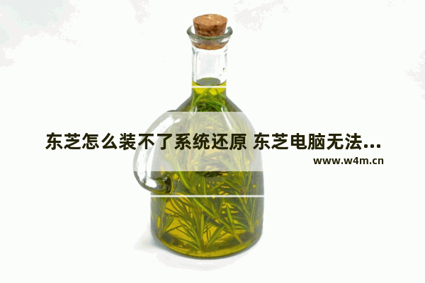 东芝怎么装不了系统还原 东芝电脑无法还原系统