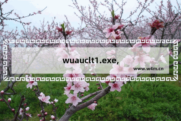 wuauclt1.exe,