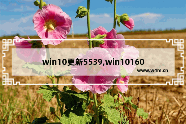 win10更新5539,win101607更新不了