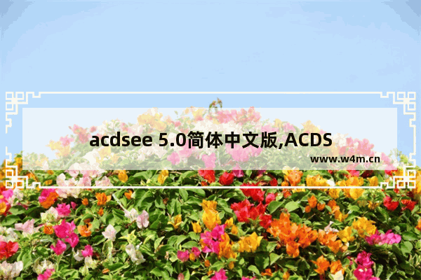 acdsee 5.0简体中文版,ACDSee5.0.1