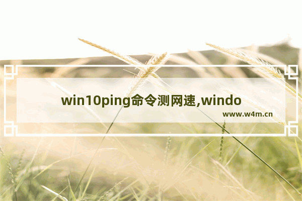 win10ping命令测网速,windows的ping命令