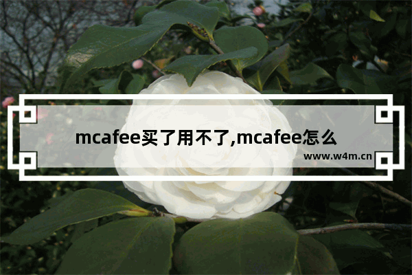 mcafee买了用不了,mcafee怎么验证订购