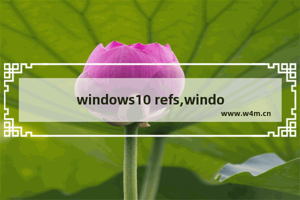 windows10 refs,windows11 refs