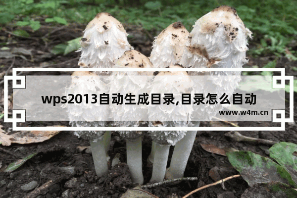 wps2013自动生成目录,目录怎么自动生成wps2010