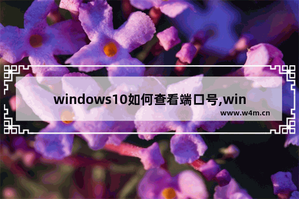 windows10如何查看端口号,window10端口怎么看