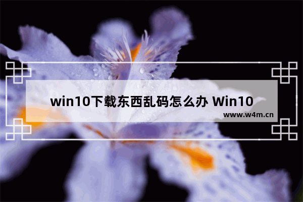 win10下载东西乱码怎么办 Win10下载显示乱码？解决方法在这里！