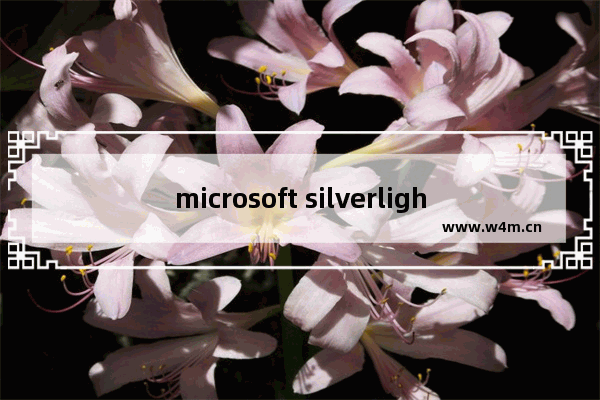 microsoft silverlight是什么程序,Microsoft Silverlight