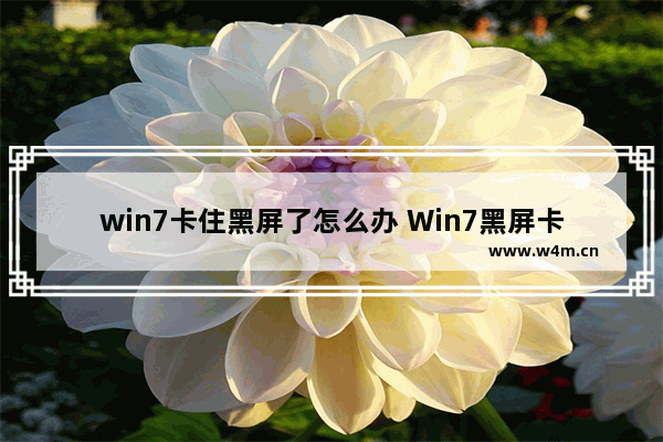 win7卡住黑屏了怎么办 Win7黑屏卡顿怎么办