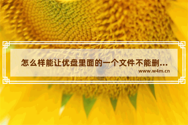 怎么样能让优盘里面的一个文件不能删除文件 如何保护优盘里的文件不被删除？