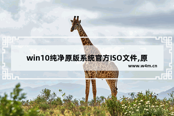 win10纯净原版系统官方ISO文件,原版win10系统下载iso