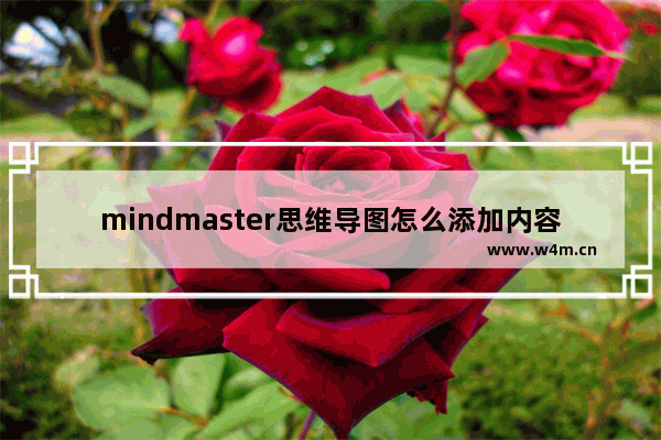 mindmaster思维导图怎么添加内容,mindmaster思维导图教程下载