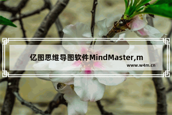 亿图思维导图软件MindMaster,mindmaster个人云