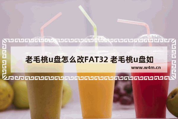 老毛桃u盘怎么改FAT32 老毛桃u盘如何转换FAT32