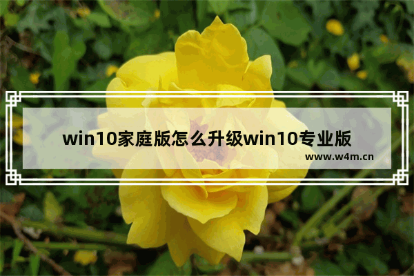 win10家庭版怎么升级win10专业版,win10家庭版升级专业版步骤