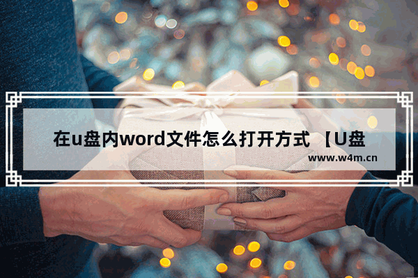 在u盘内word文件怎么打开方式 【U盘word文件打开方式】