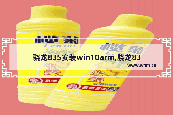 骁龙835安装win10arm,骁龙835运行win10