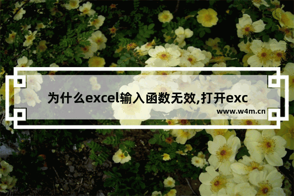 为什么excel输入函数无效,打开excel出现visual basic无效字符