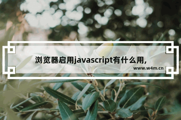 浏览器启用javascript有什么用,ie浏览器怎么启用