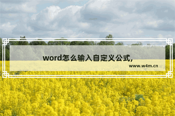 word怎么输入自定义公式,