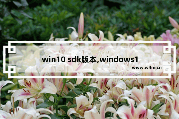 win10 sdk版本,windows10开发者预览版