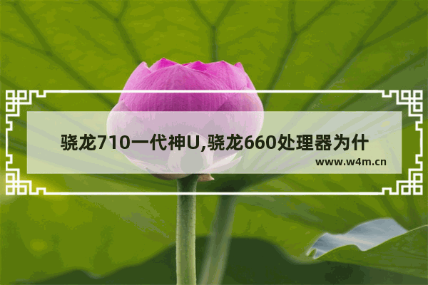 骁龙710一代神U,骁龙660处理器为什么是神u