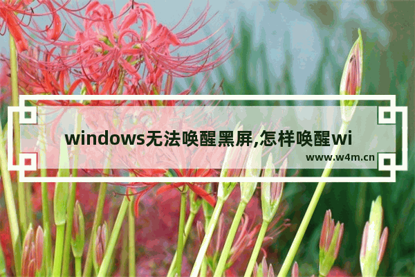 windows无法唤醒黑屏,怎样唤醒win10睡眠无法唤醒黑屏