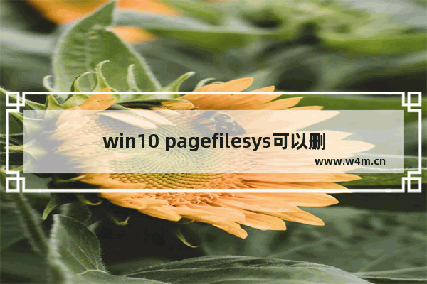 win10 pagefilesys可以删吗,系统文件pagefile.sys可以删除吗